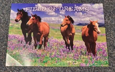 Photo of free Horse Poster #1