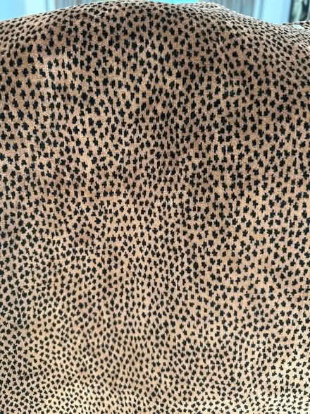 Photo of free Shower Curtain (Aurora) #2