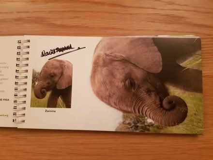 Photo of free Post cards for wildlife (Letchworth garden city SG6) #1