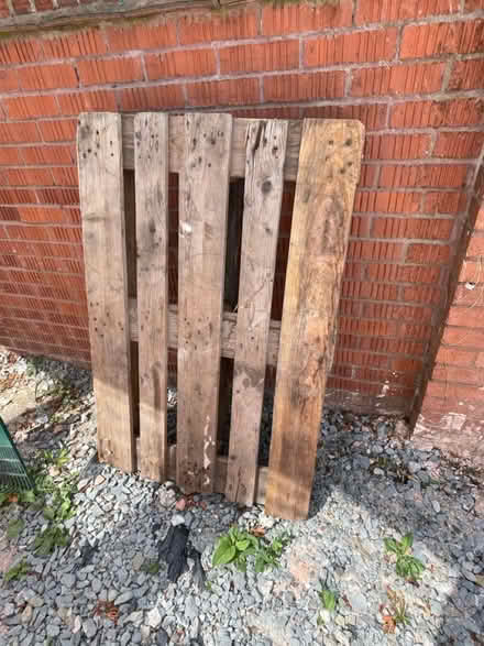 Photo of free Wooden pallets (Worcester WR2) #2