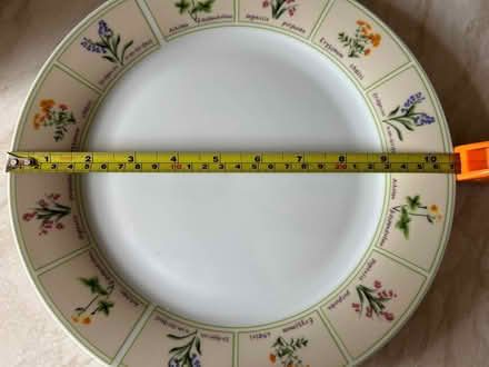 Photo of free Eight Dinner Plates (Gamston NG2) #3