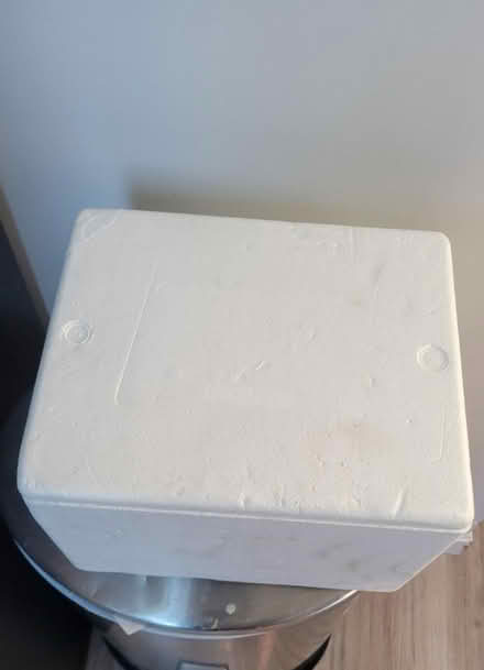 Photo of free Styrofoam cooler (Medford ma) #3