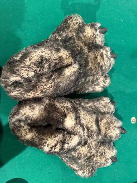 Photo of free Monster slippers (95070) #1