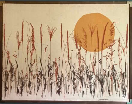Photo of free Harvest moon over prairie (North side of Elmhurst) #1