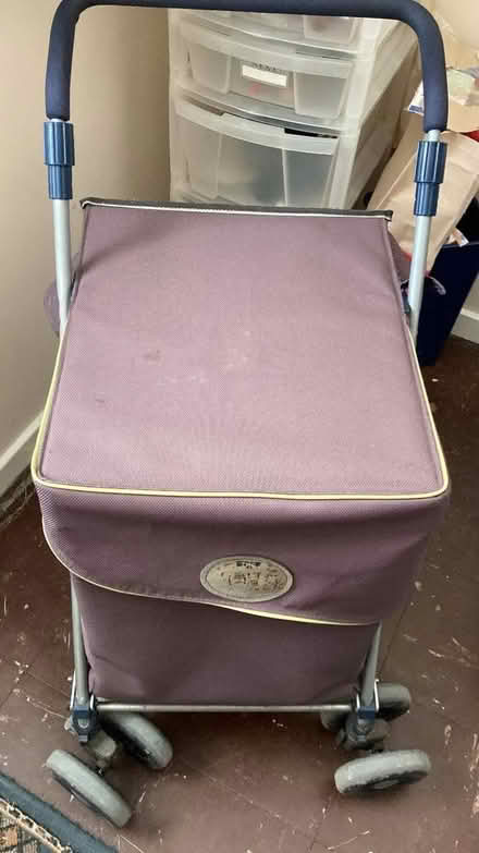 Photo of free Sholley Trolley (Buckland TQ12) #4