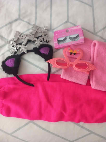 Photo of free Bundle of dress up accessories (Wivenhoe CO7) #1