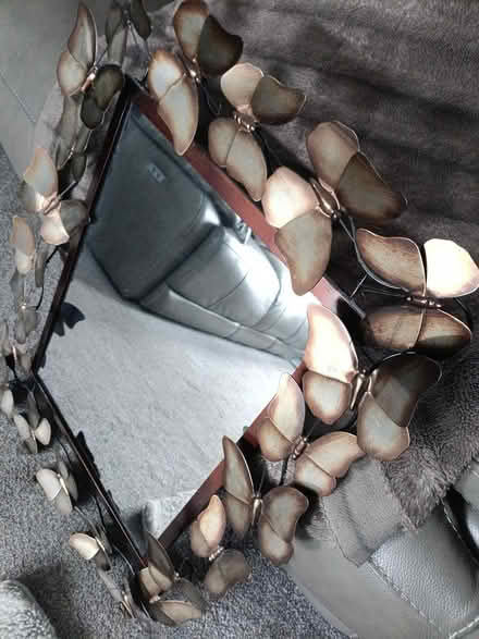 Photo of free Large butterfly mirror (Rothwell LS26) #1