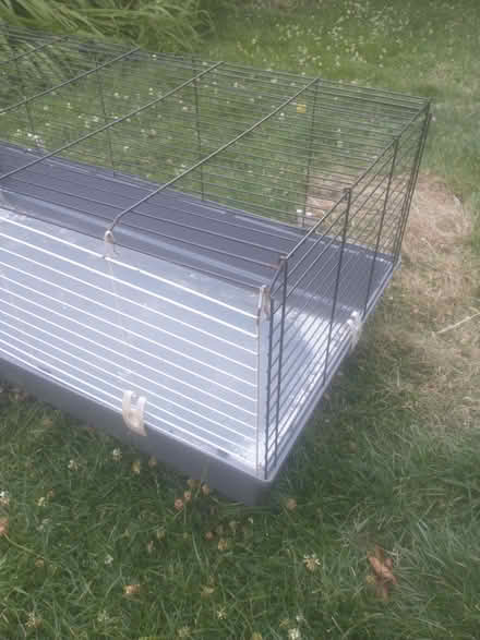 Photo of free Indoor guinea pig cage / seedlings (Wood Green N22) #2