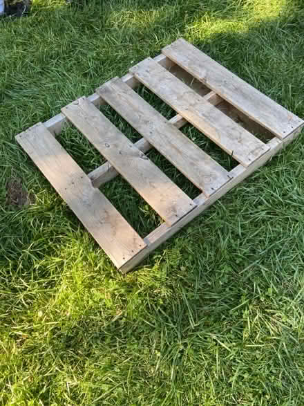 Photo of free Pallets (23 brant avenue mississauga on) #1