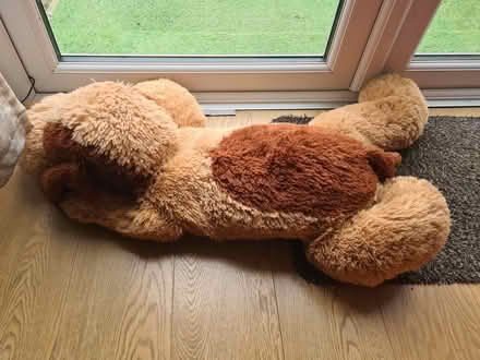 Photo of free Cuddle toy (Dublin 6) #1