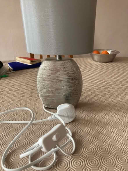 Photo of free Lamp and lampshades (SM3 Sutton) #4