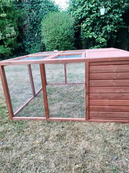 Photo of free Pet run for garden (Streatham SW16) #3