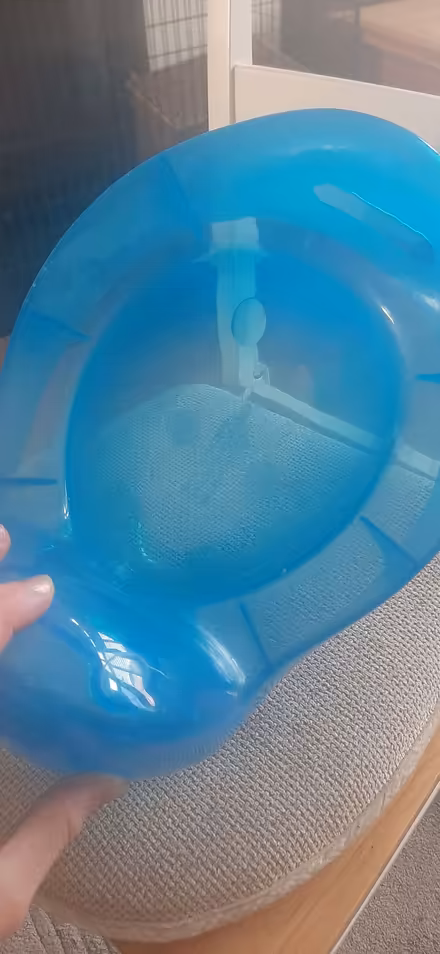Photo of free Blue potty (Kingsway) #2