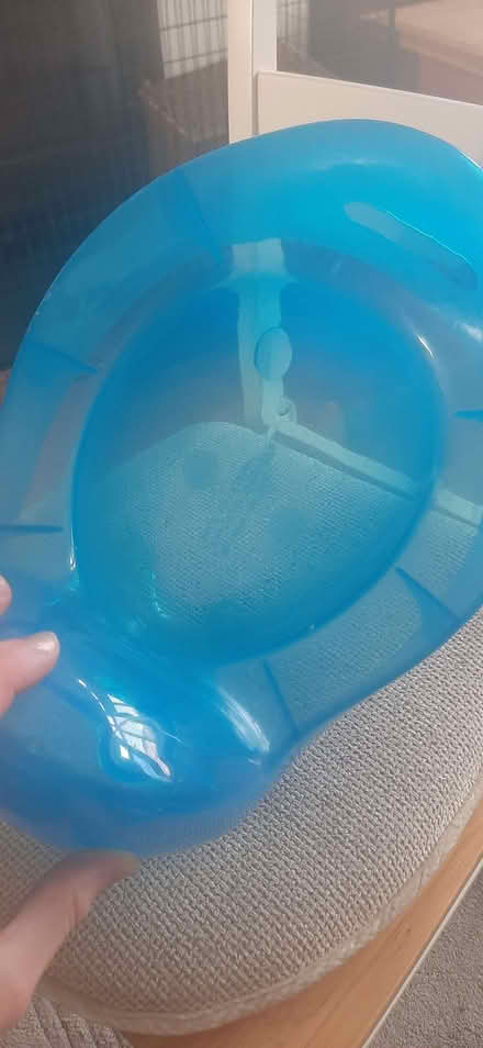 Photo of free Blue potty (Kingsway) #2