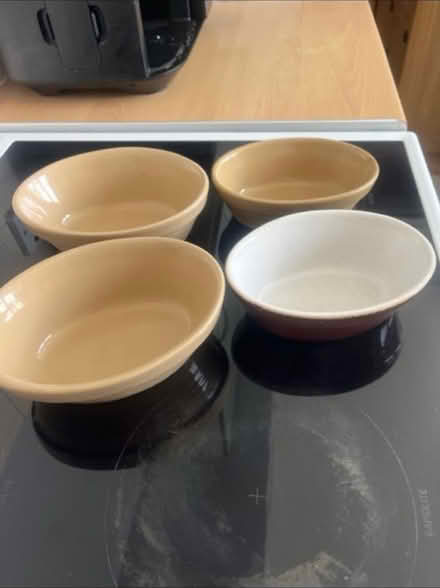 Photo of free 4 oval ceramic ramekin dishes (Bilton, CV22) #1