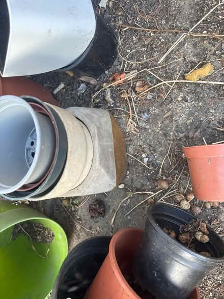Photo of free Large selection of plant pots (Limehouse E1) #2