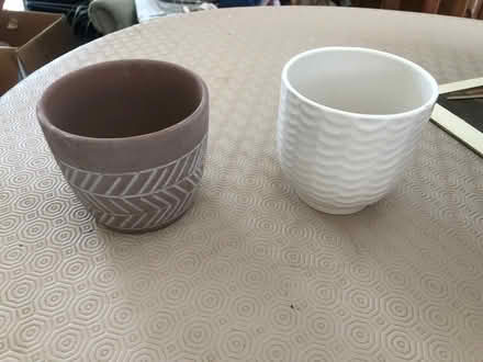 Photo of free Two indoor flower pots (Langney BN23) #1