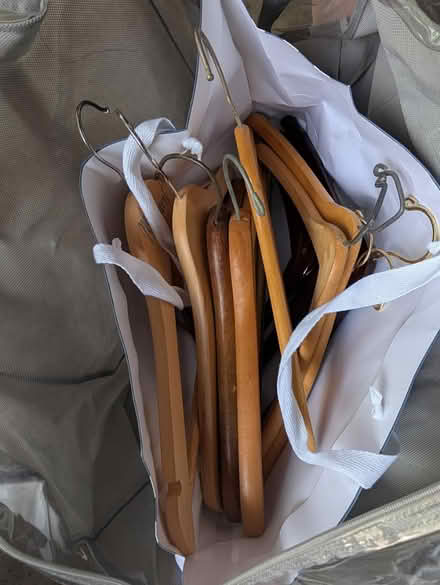 Photo of free Plastic & wood hangers (Downtown Oak Park) #1