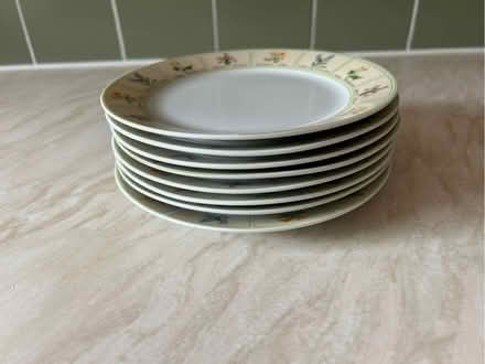 Photo of free Eight small plates (Gamston NG2) #2