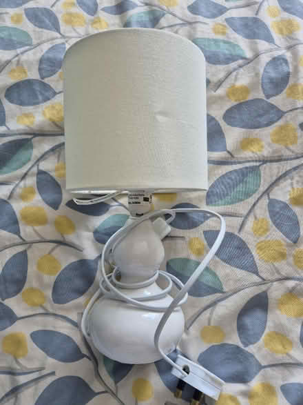 Photo of free Small lamp (Whiteshill, Stroud) #1