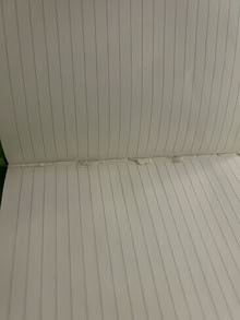Photo of free small notebooks/agendas #3