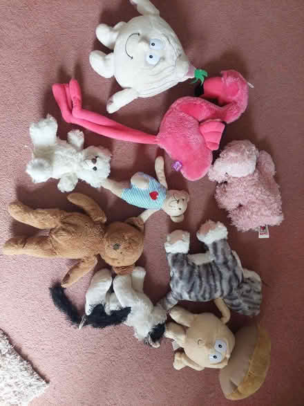 Photo of free Soft Toys (Harts Corner Glasnevin) #1