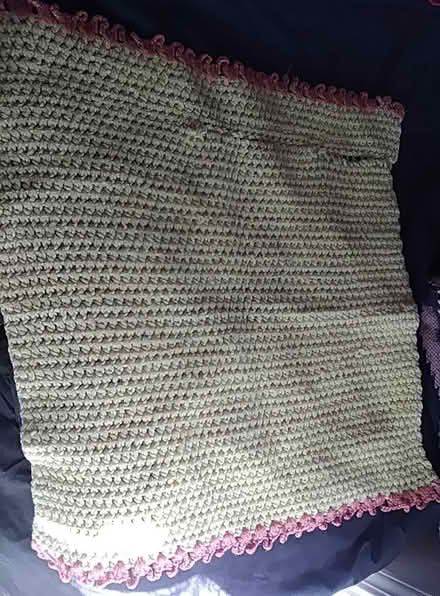 Photo of free Cat Afghan (Oakland) #1