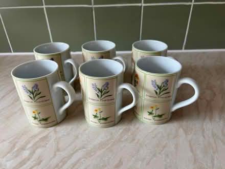 Photo of free Six Mugs (Gamston NG2) #1