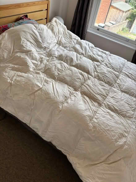 Photo of free Two super king size duvets (Central Tonbridge TN9) #1