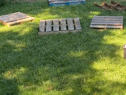 Photo of free Pallets (23 brant avenue mississauga on) #2