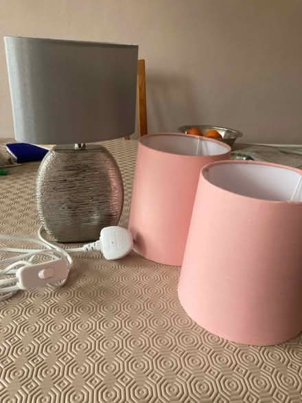 Photo of free Lamp and lampshades (SM3 Sutton) #1