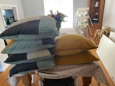 Photo of free 6 cushions- covers freshly washed (Newtown SG16) #1