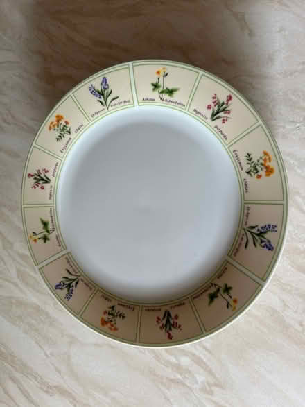 Photo of free Eight Dinner Plates (Gamston NG2) #1