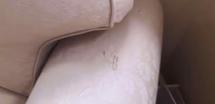 Photo of free 2 seater sofa (Little Ryton SY5) #2