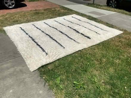 Photo of free Shaggy floor Rug (Berkeley) #1