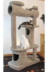 Photo of cat house/tower (Westside Detroit) #1