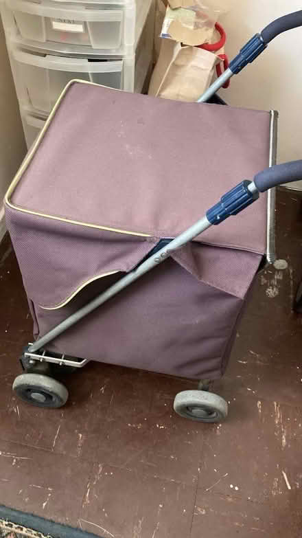 Photo of free Sholley Trolley (Buckland TQ12) #1