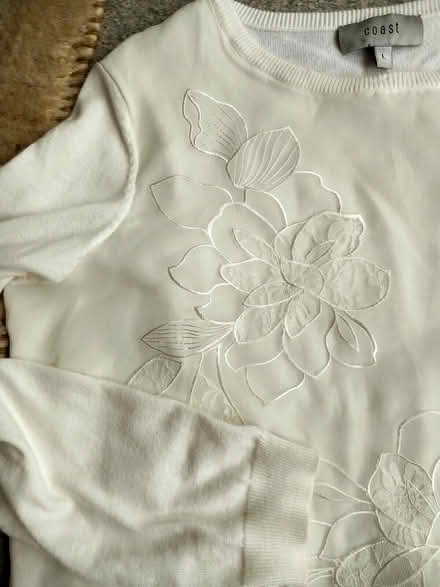 Photo of free emboidred sheer piece (Bexhill-on-Sea) #1