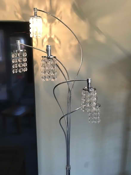 Photo of free Lamp from next (Loscoe) #1