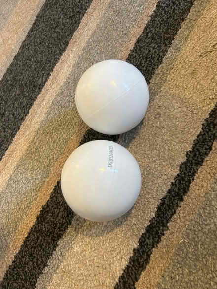 Photo of free Empty balls (Jennetts park RG12) #1