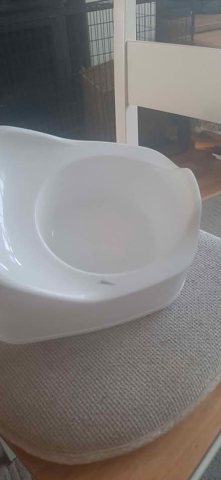 Photo of free White potty (Kingsway) #2