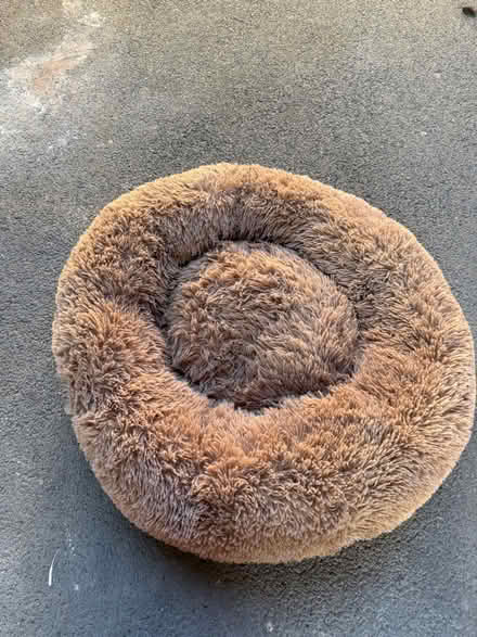 Photo of free Dog bed (Tyburn B24) #1