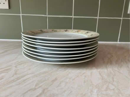 Photo of free Eight Dinner Plates (Gamston NG2) #2