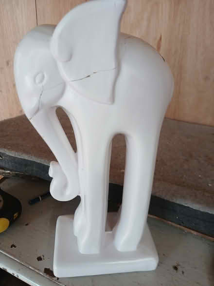 Photo of free Elephant (Thornton heath) #1