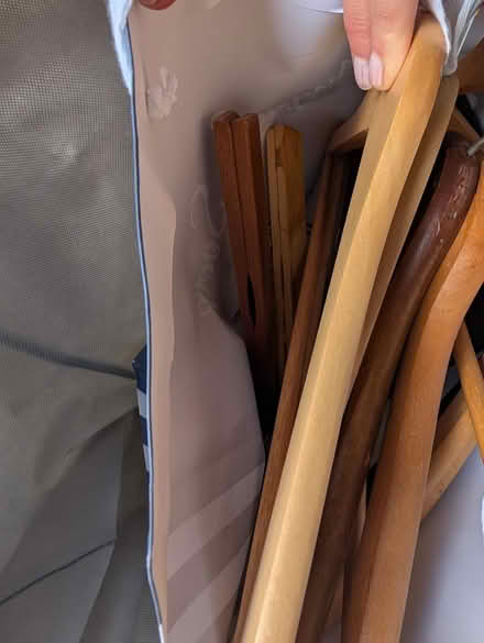 Photo of free Plastic & wood hangers (Downtown Oak Park) #2