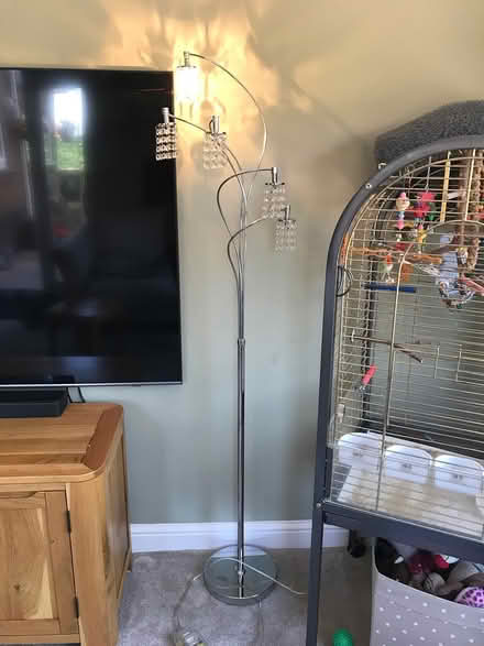 Photo of free Lamp from next (Loscoe) #2