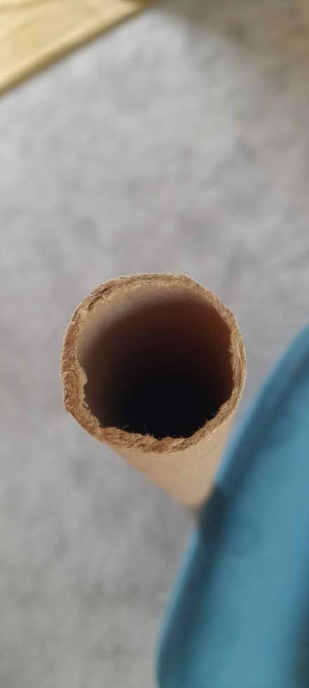 Photo of free Cardboard tube (TN40 bexhill) #1
