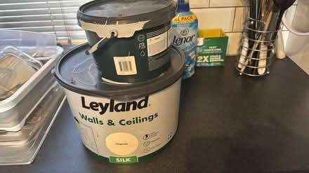 Photo of free Paint (Orton malborne) #1