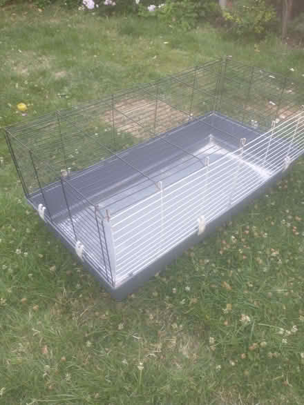 Photo of free Indoor guinea pig cage / seedlings (Wood Green N22) #1
