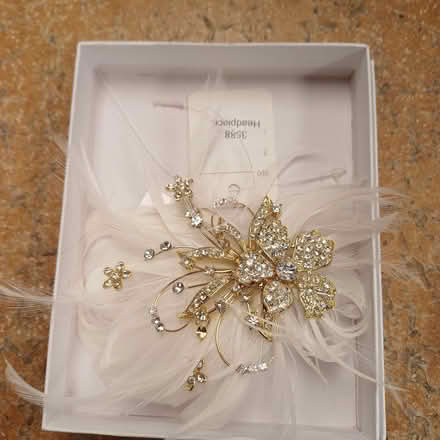 Photo of free Fascinator. (Sydenham SE26) #1